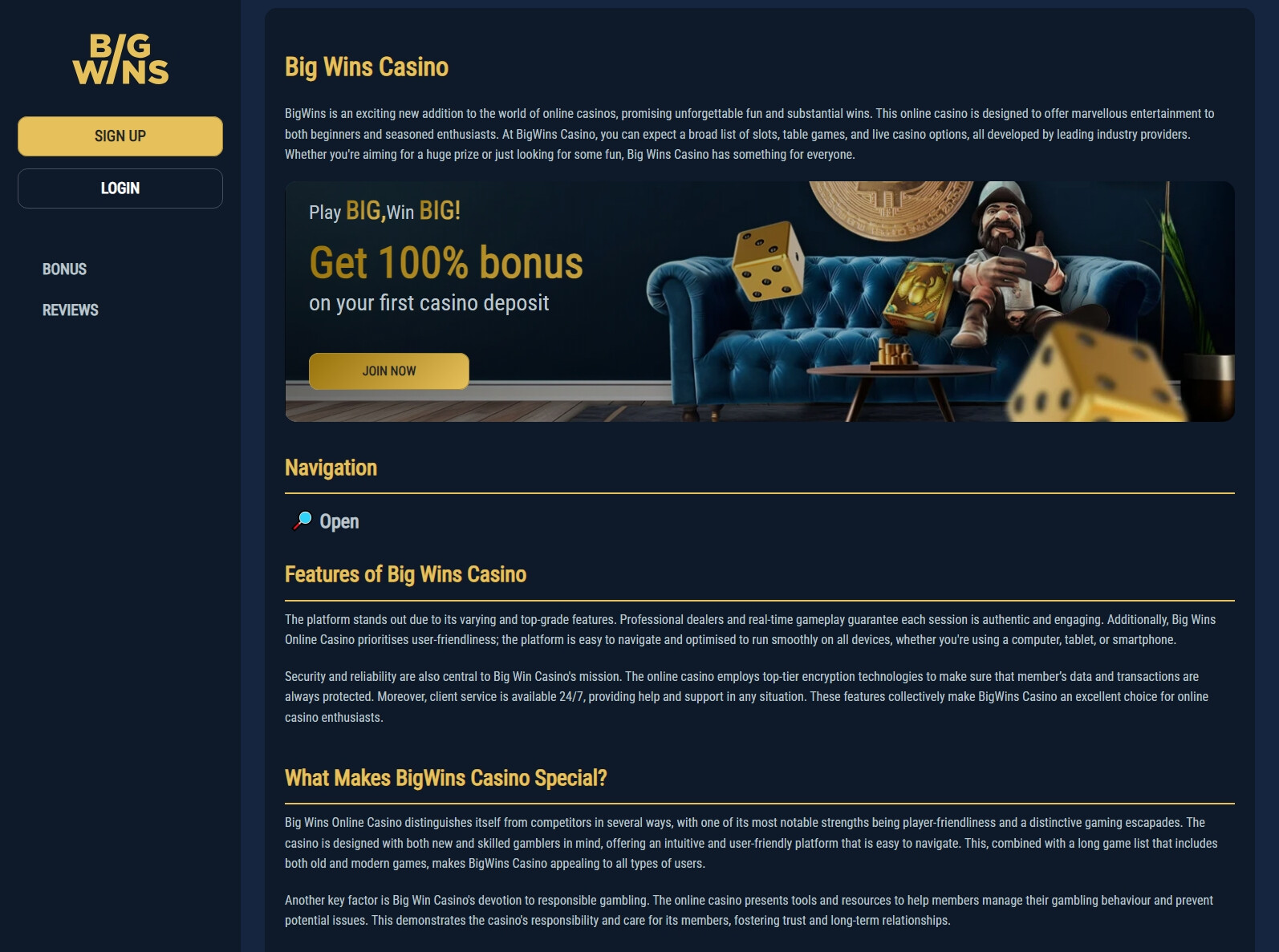 BigWins Gambling Establishment Review